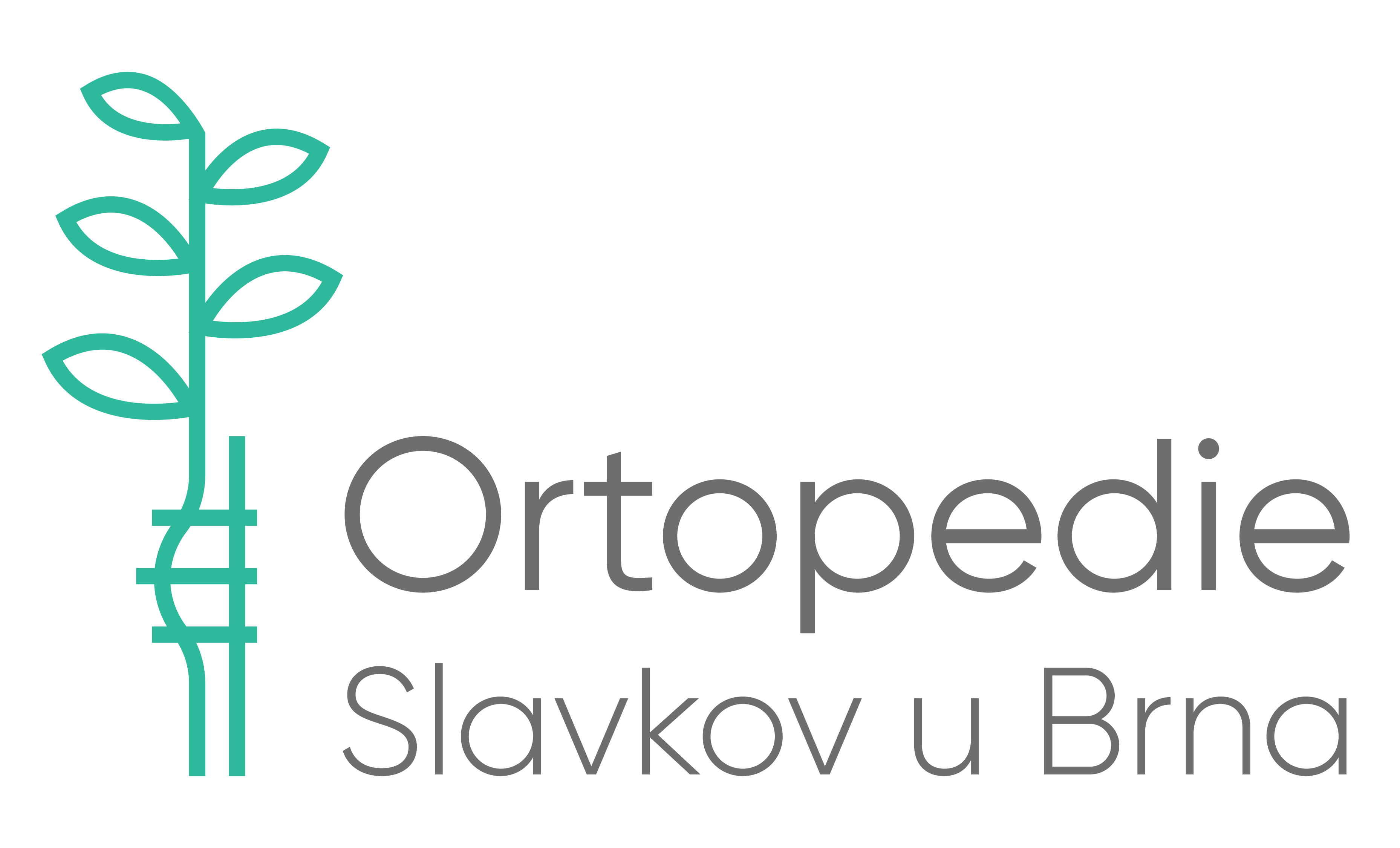 Ortopedie Slavkov